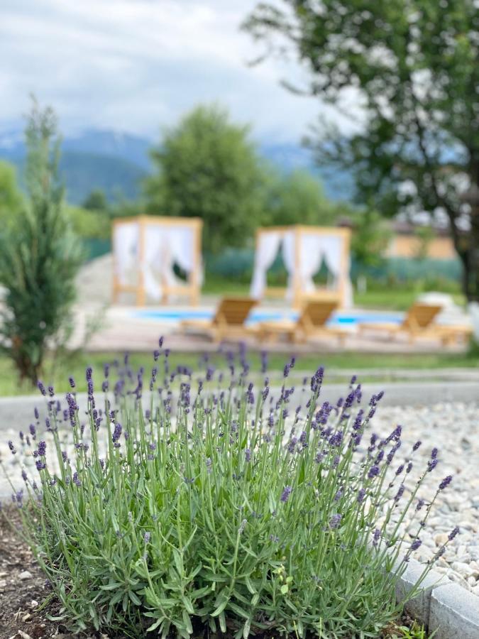 Vila Epic House Valea Avrigului Exteriér fotografie