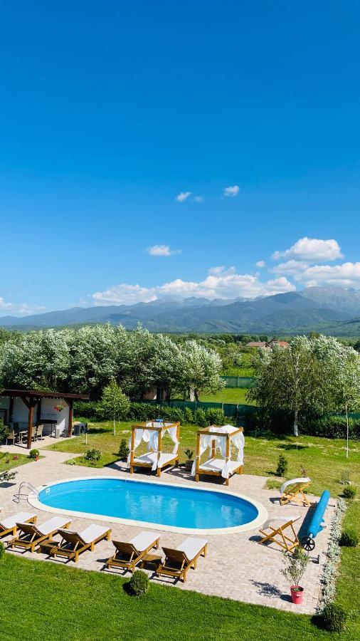 Vila Epic House Valea Avrigului Exteriér fotografie